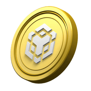 Moeda BNB ornamental na seção informativa da plataforma