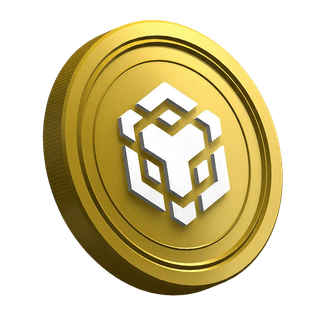 Criptomoeda BNB em página do guia para o trader iniciante